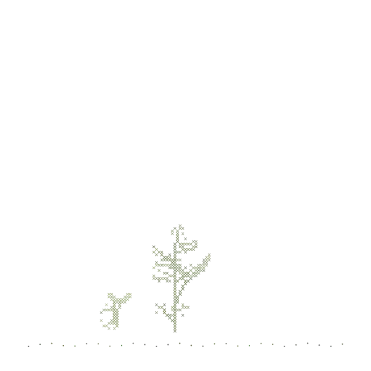 An Amla growing from a sapling to a full tree — one of the twelve species, drawn by the Seedlings engine.